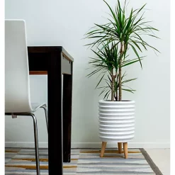 Hide+seek SUPPLY CO Groove Jr. Ceramic Planter w/beech wood legs-matte white -As U Wish Sales Belk 1055