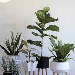 Hide+seek SUPPLY CO Winston Ceramic Planter w/beech wood legs-matte white