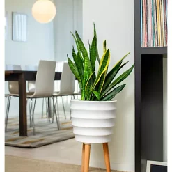 Hide+seek SUPPLY CO Winston Ceramic Planter w/beech wood legs-matte white -As U Wish Sales Belk 1070