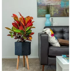 Hide+seek SUPPLY CO Paul Ceramic Planter w/beech wood legs-textured black -As U Wish Sales Belk 1081