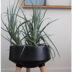 Hide+seek SUPPLY CO Cole Ceramic Planter w/beech wood legs-sandy black -As U Wish Sales Belk 1123