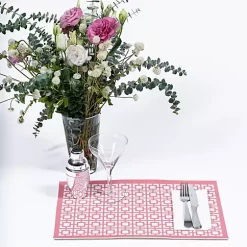 Hide+seek SUPPLY CO Breeze Block Placemats (set of 4)-Vista Vue in Pink -As U Wish Sales Belk 864